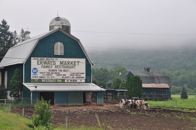 dairy barn on PA's Highway 6